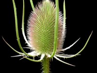 Editing, proofreading and&nbsp;copywriting.